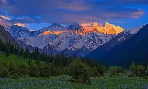  十四冬冰球项目青年组比赛黑龙江女子组 